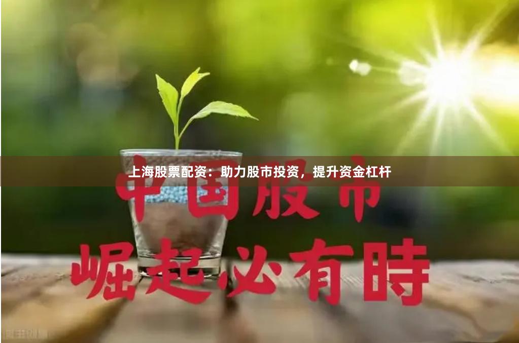 上海股票配资：助力股市投资，提升资金杠杆