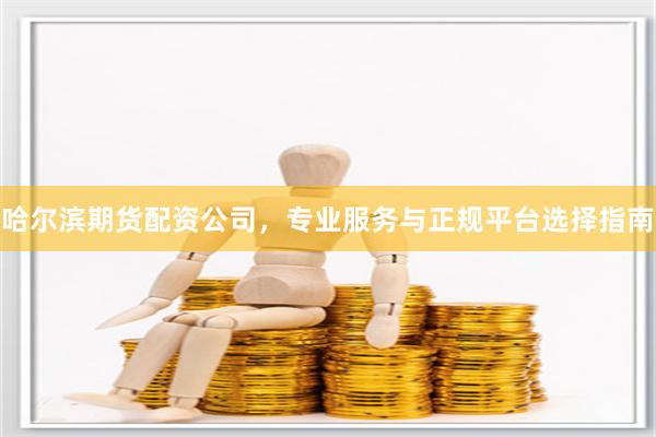 哈尔滨期货配资公司，专业服务与正规平台选择指南