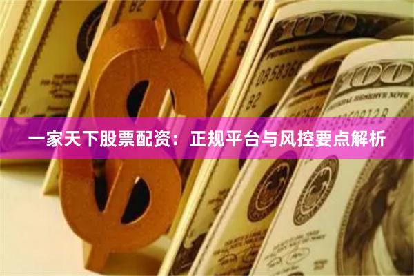 一家天下股票配资：正规平台与风控要点解析