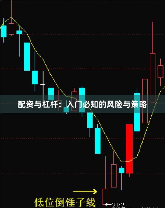 配资与杠杆：入门必知的风险与策略